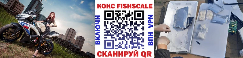 OMG зеркало  Жуков  КОКАИН Эквадор 