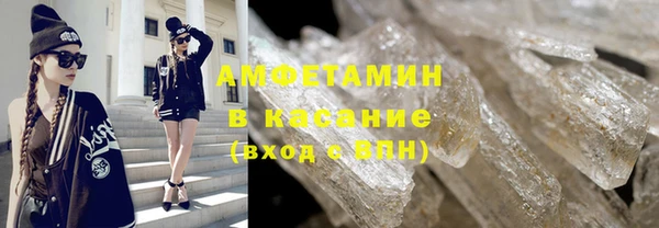 прущие грибы Баксан