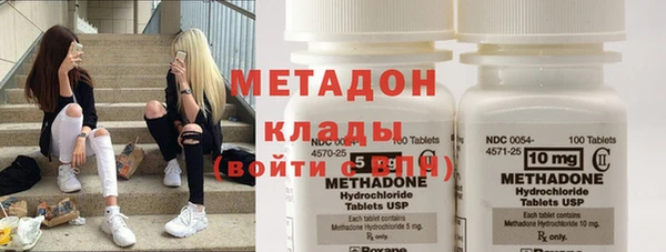 прущие грибы Баксан