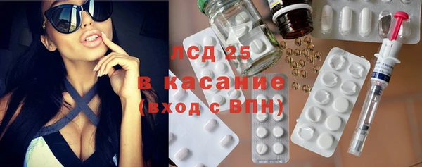 прущие грибы Баксан