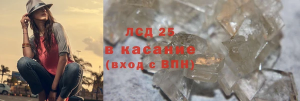 прущие грибы Баксан