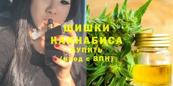 прущие грибы Баксан