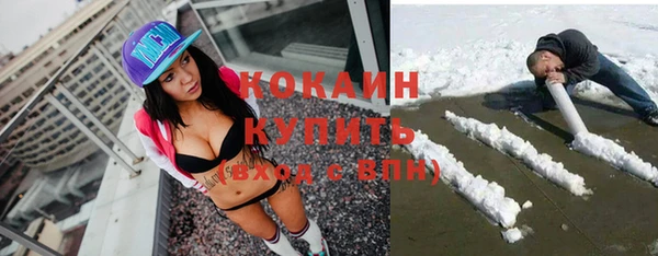прущие грибы Баксан