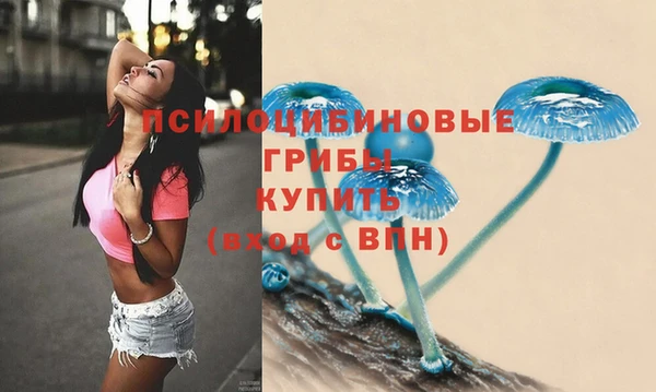 ПСИЛОЦИБИНОВЫЕ ГРИБЫ Беломорск