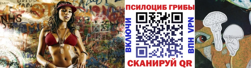 Псилоцибиновые грибы Psilocybe  Жуков 
